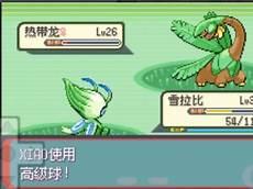 热带龙漆黑